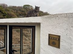 -平湖九龙山旅游度假区