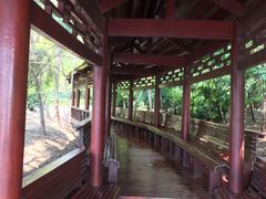 -塘沽森林公园