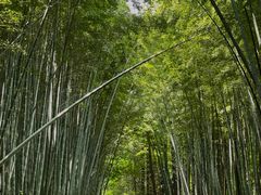 -同里国家湿地公园