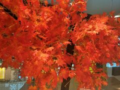 -老湘亲·品鉴湘菜(蔡塘爱琴海店)