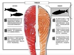 -原志优秀食材·匠心料理·海胆主题(金亿广场店)