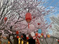 -三里河公园
