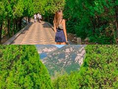 -禅宗少林·音乐大典