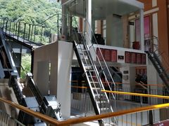 -陕西省红河谷森林公园