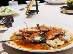 -诺莱仕游艇会