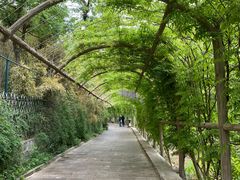 -红螺寺