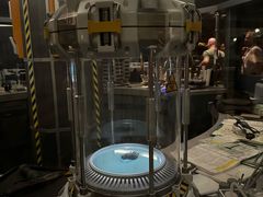 -奥兰多迪士尼动物王国乐园