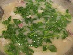 -邹羊肉火锅