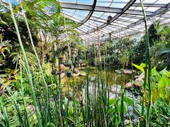 -昆明植物园