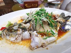 -大门水乡·顺德菜