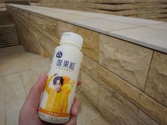 -盘龙城遗址博物院