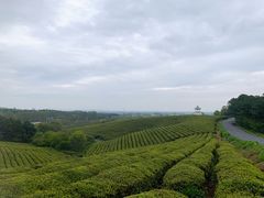 -游子山休闲旅游区