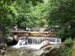 -陕西省红河谷森林公园