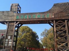 -溱湖国家湿地公园