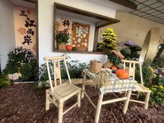 -杭州植物园