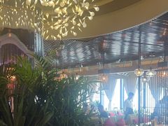 -润园四季椰子鸡火锅(海上世界店)