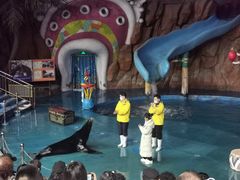 -烟台海昌鲸鲨海洋公园