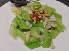 -采蝶轩