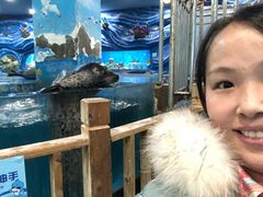 -锦艺城海洋馆