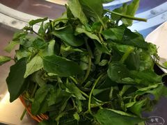 -野菌皇海景野生菌火锅(滨海大道店)