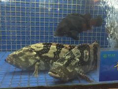 -益利大酒楼(井岸店)