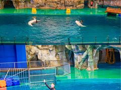 -威海华夏城景区