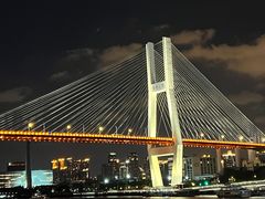 -新龙船黄浦江餐饮游船官方自营店