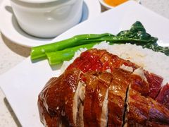 叉烧烧鸭双拼-香港新发烧腊茶餐厅(书城店)