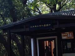 -马王堆汉墓遗址