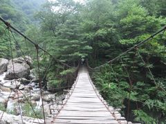 -青峰峡国家森林公园