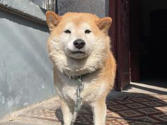 -常熟路(地铁站)