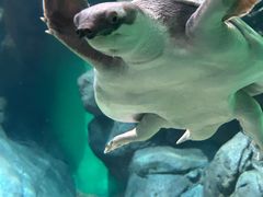 -上海海洋水族馆