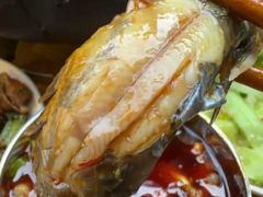 -鸿顺老铁锅美蛙鱼府(解放碑店)