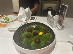 -鹿园 MOOSE(长宁店)