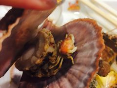 野生扇贝-苏大嘴海鲜牧场(奥林匹克店)