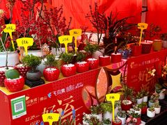 -佛山印象城(季华五路店)