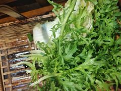 -南门四季铜锅涮肉(左家庄店)