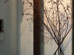 -西关84·History·Art·Cafe