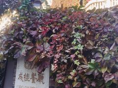 -成桂西餐厅·42年的味道(五大道疙瘩楼店)