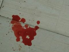 -西安京西宠物医院·瘫痪·疑难杂症