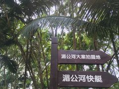 -西双版纳傣族园