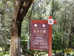 -罗布林卡