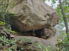 -大岭沟猕猴桃谷风景区