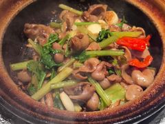 -煲煲好(朝阳门店)