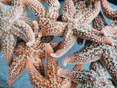 -万达文华酒店·48F云端窗景美食汇自助餐厅