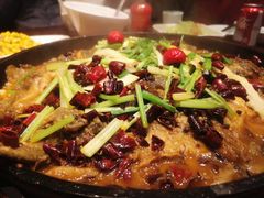-老板恋上鱼(荣盛广场店)