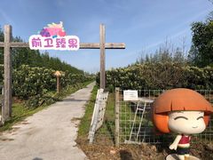 -上海长兴岛郊野公园