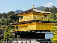-豆政(金閣寺境内売店)