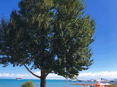 -青海湖国家重点风景名胜区