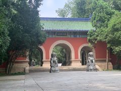 -灵谷景区